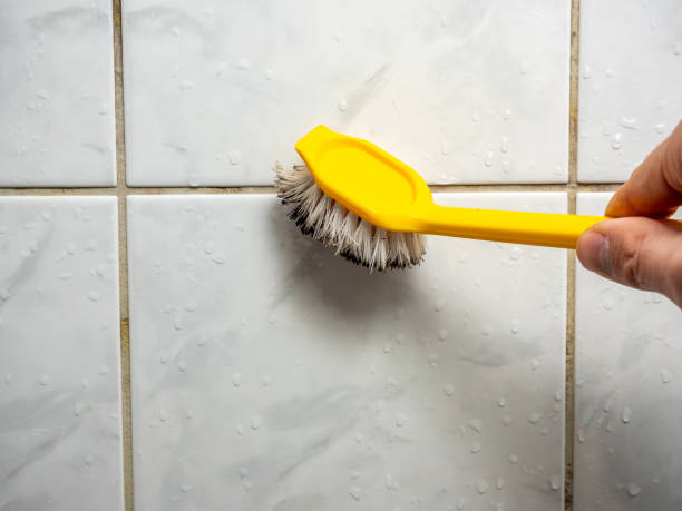 Best Local Mold Removal Service  in Maywood, CA