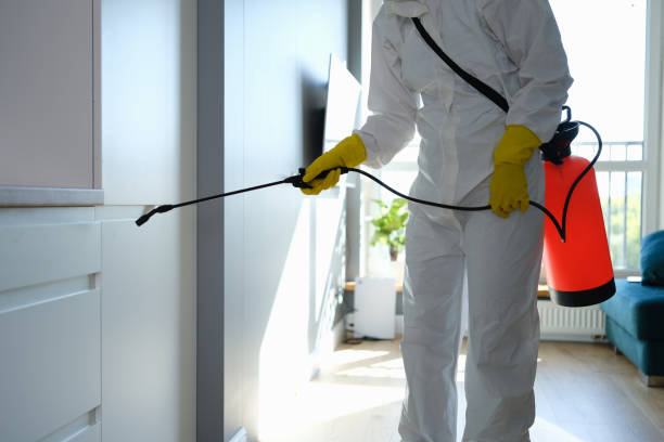 Best Residential Mold Removal  in Maywood, CA