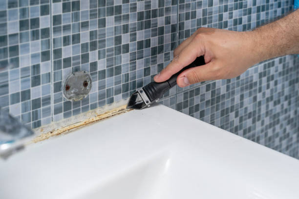 Best Mold Testing  in Maywood, CA