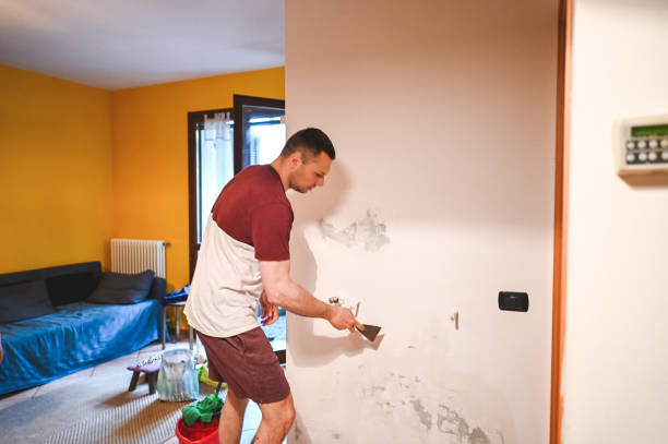 Best Mold Cleaning Services  in Maywood, CA